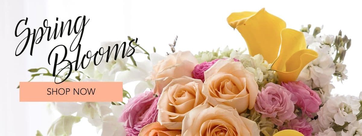 DeJa Vu Flowers Open late call after 12 AM