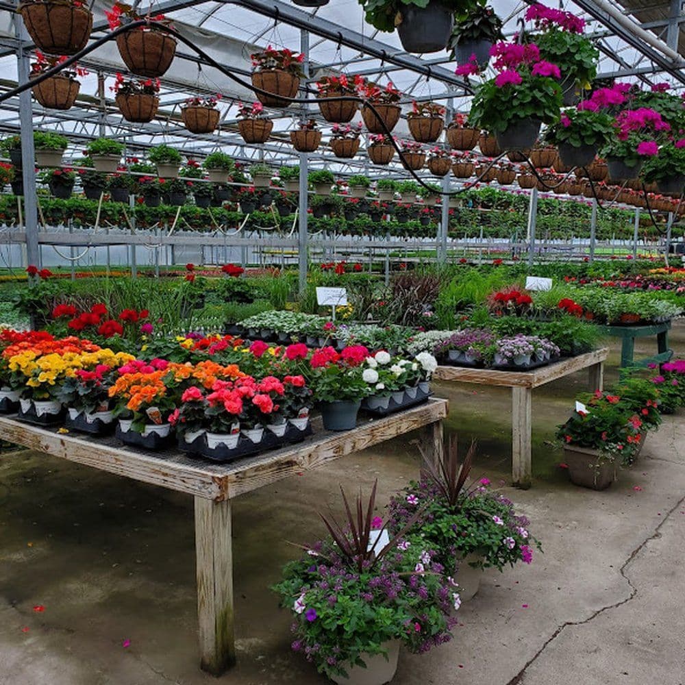 Dennis Nursery & Greenhouse