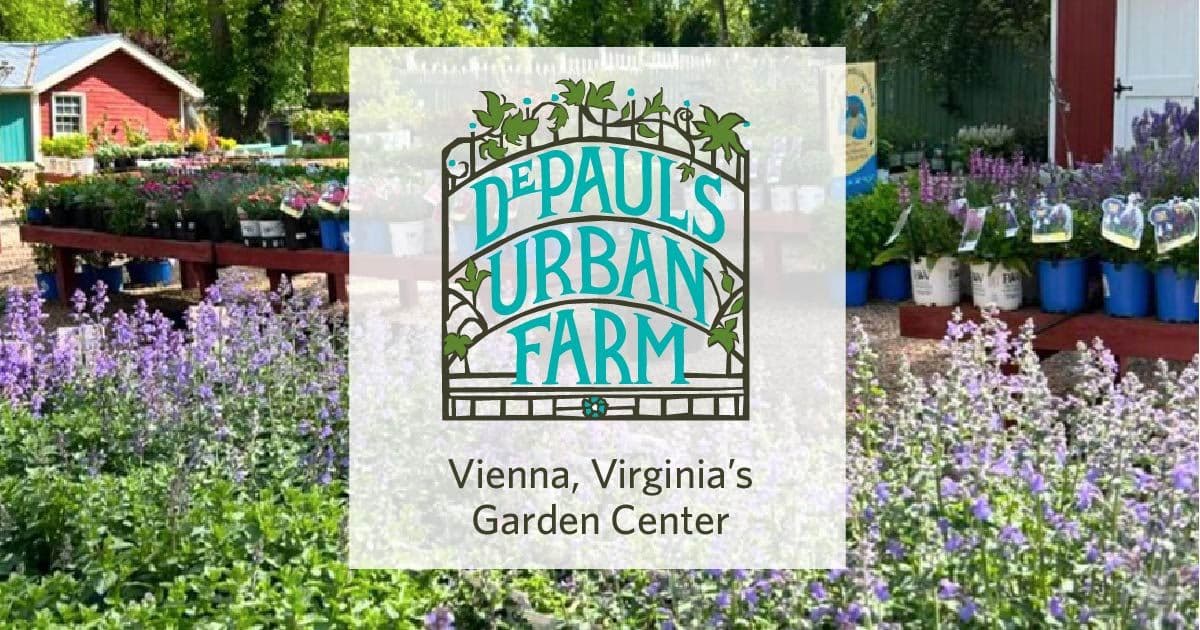 Depaul's Urban Farm