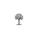 Desert Grown Organics