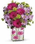 Designs East Florist & Interior
