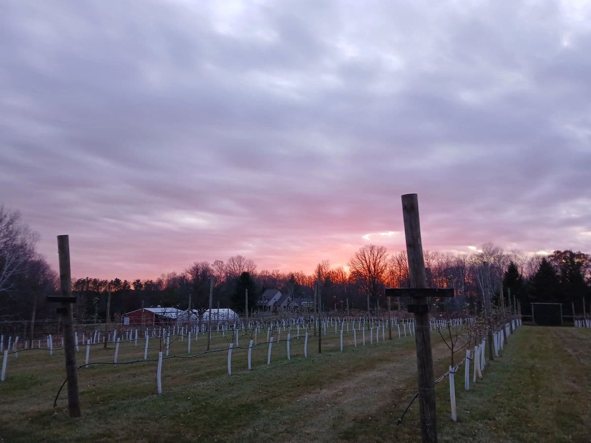 Destiny Ranch Orchard & Nursery
