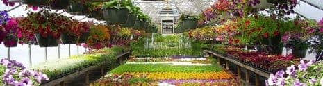 DeValk's Greenhouse and Gardens