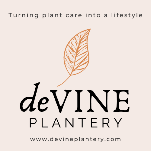 deVINE Plantery