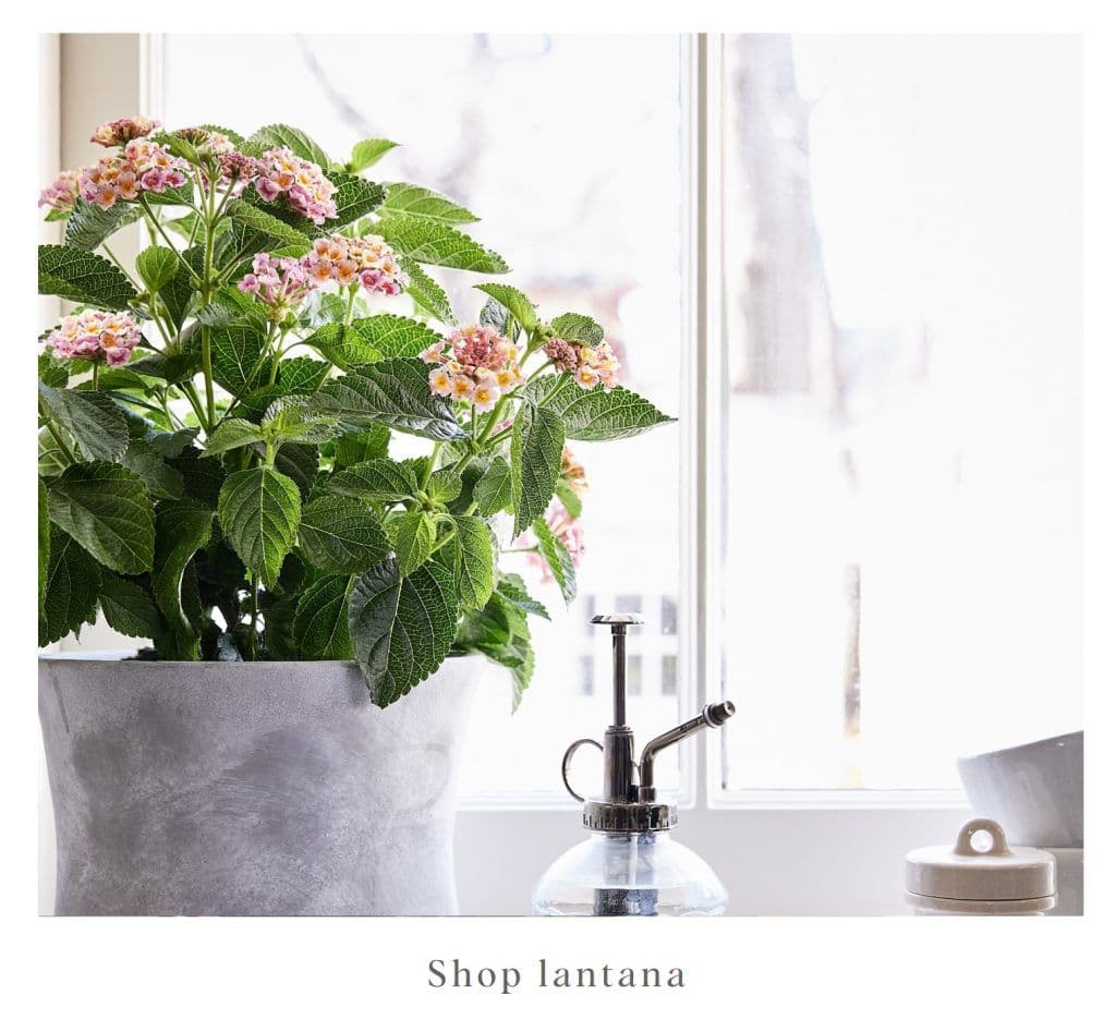 Dewar Nurseries Inc.