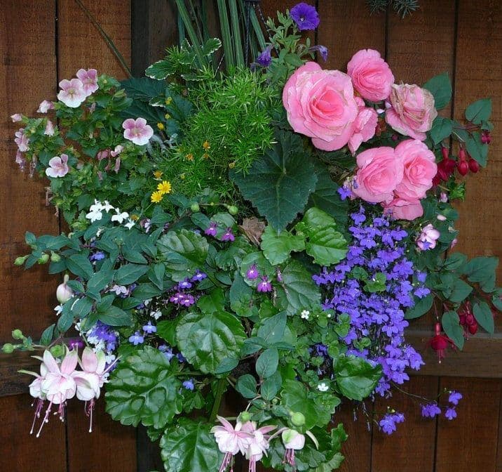 Diamond's Greenhouse