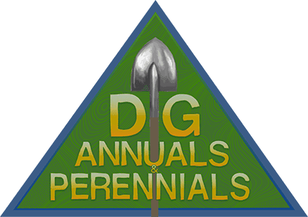 Dig Annuals and Perennials