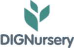 Dig Nursery
