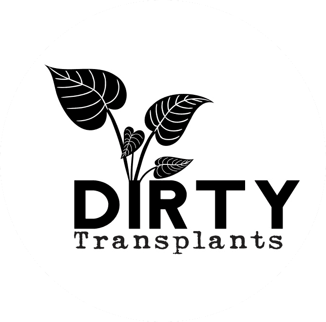 Dirty Transplants