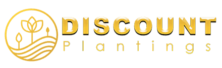 Discount Plantings, LLc