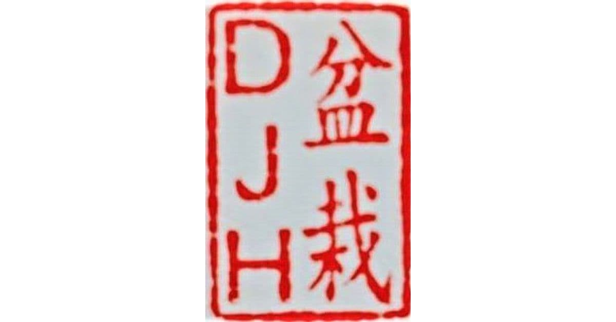 DJH Bonsai