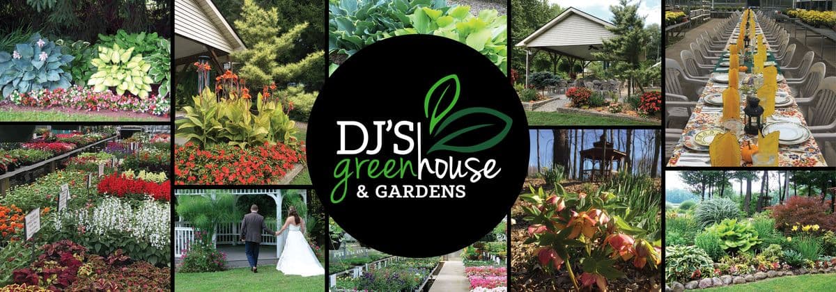 DJ's Greenhouse