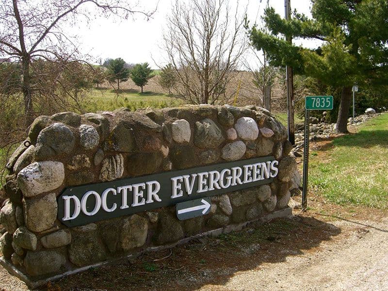 Docter Evergreens