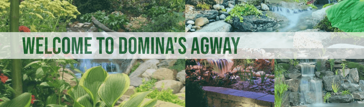 Domina's Agway