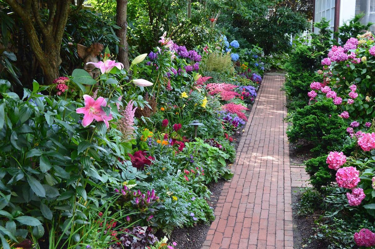 Donaroma's Nursery, Landscaping + Floral Design