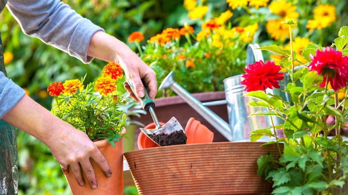 Don's Garden Shop & Landscape Materials