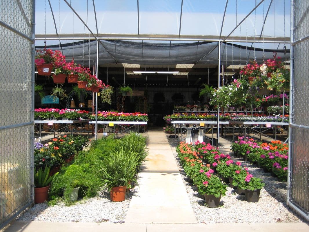 Don's Plants