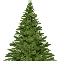 Dowless Christmas Tree Farm