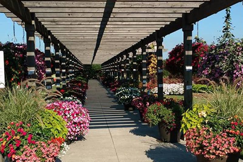 Downs Farm Market