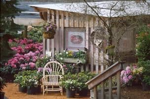 Downs' Rhododendrons Gardens