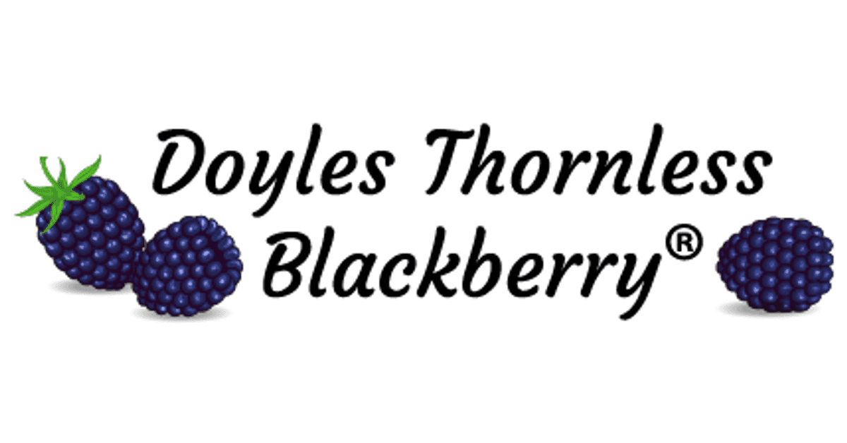 Doyle Blackberry inc