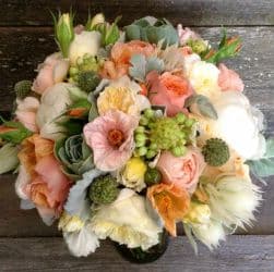 Dragonfly Farm and Floral