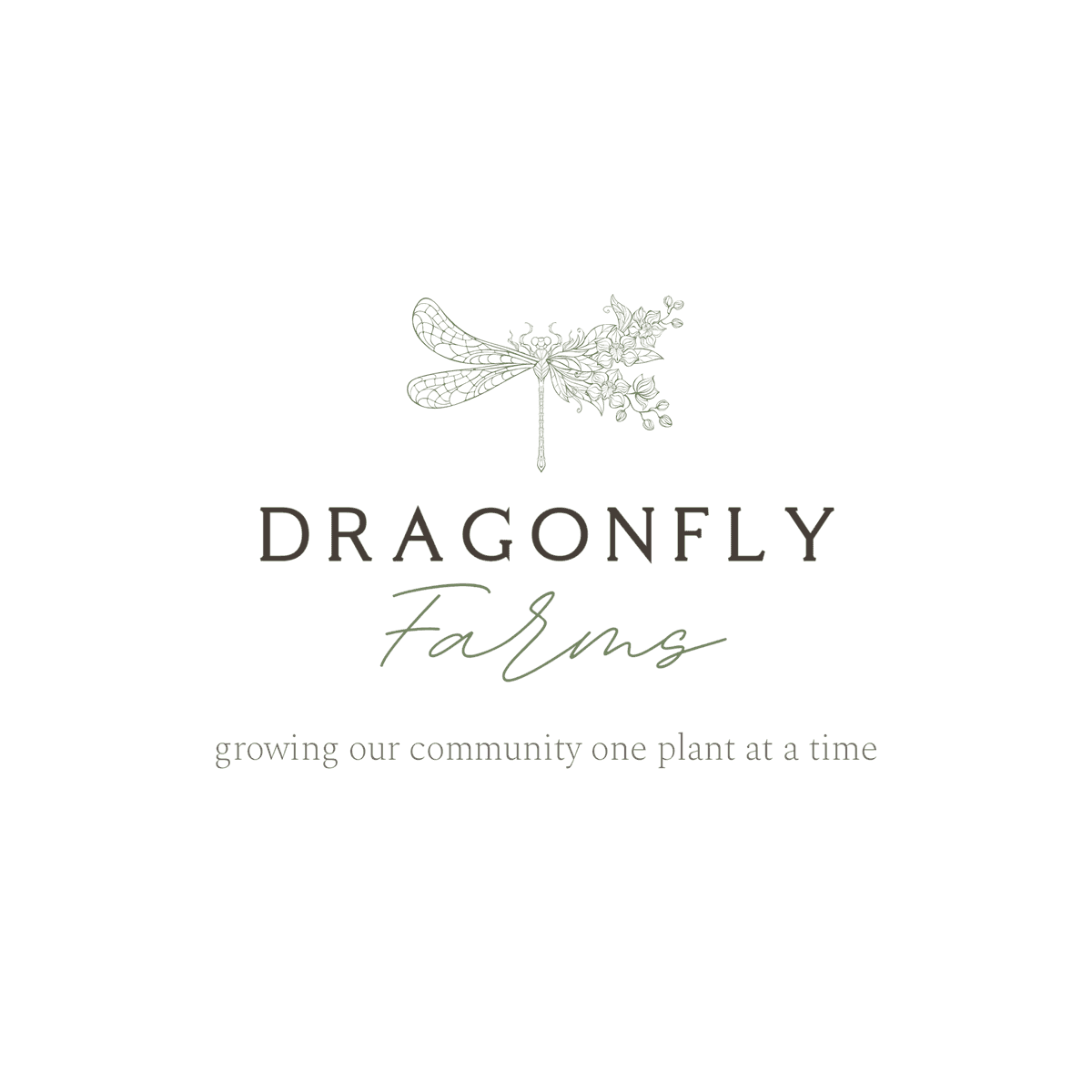 Dragonfly Farms