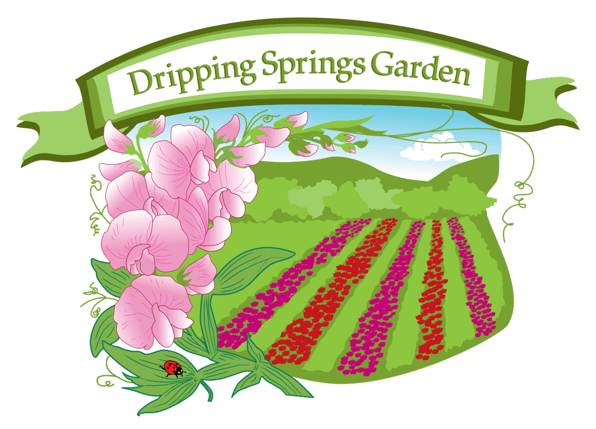 Dripping Springs Garden