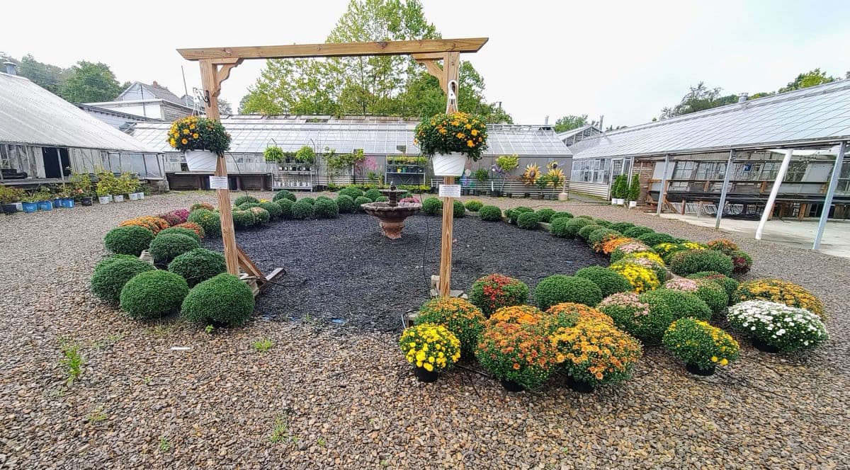 Driscoll's Potting Shed Florist & Greenhouse