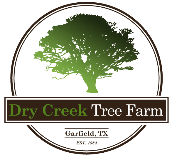 Dry Creek Tree Farm