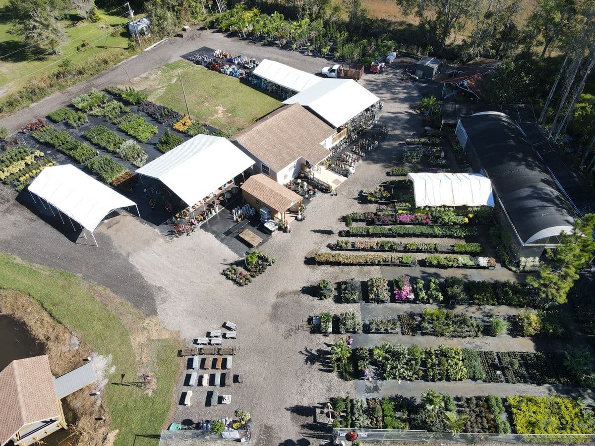Duncheon's Nursery