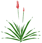 Durango Nursery & Supply Inc