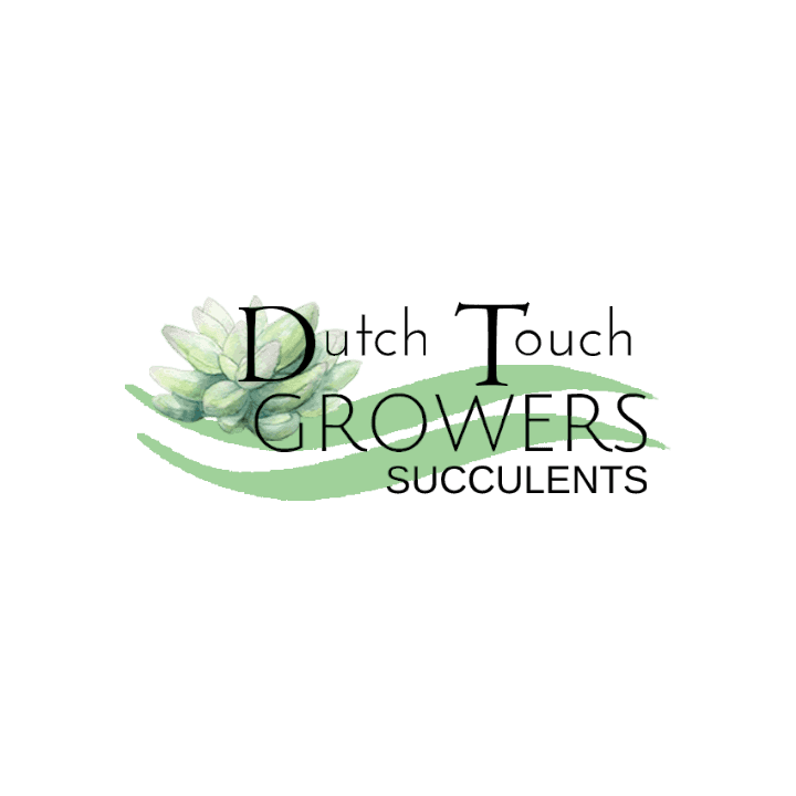 Dutch Touch Growers, Inc.