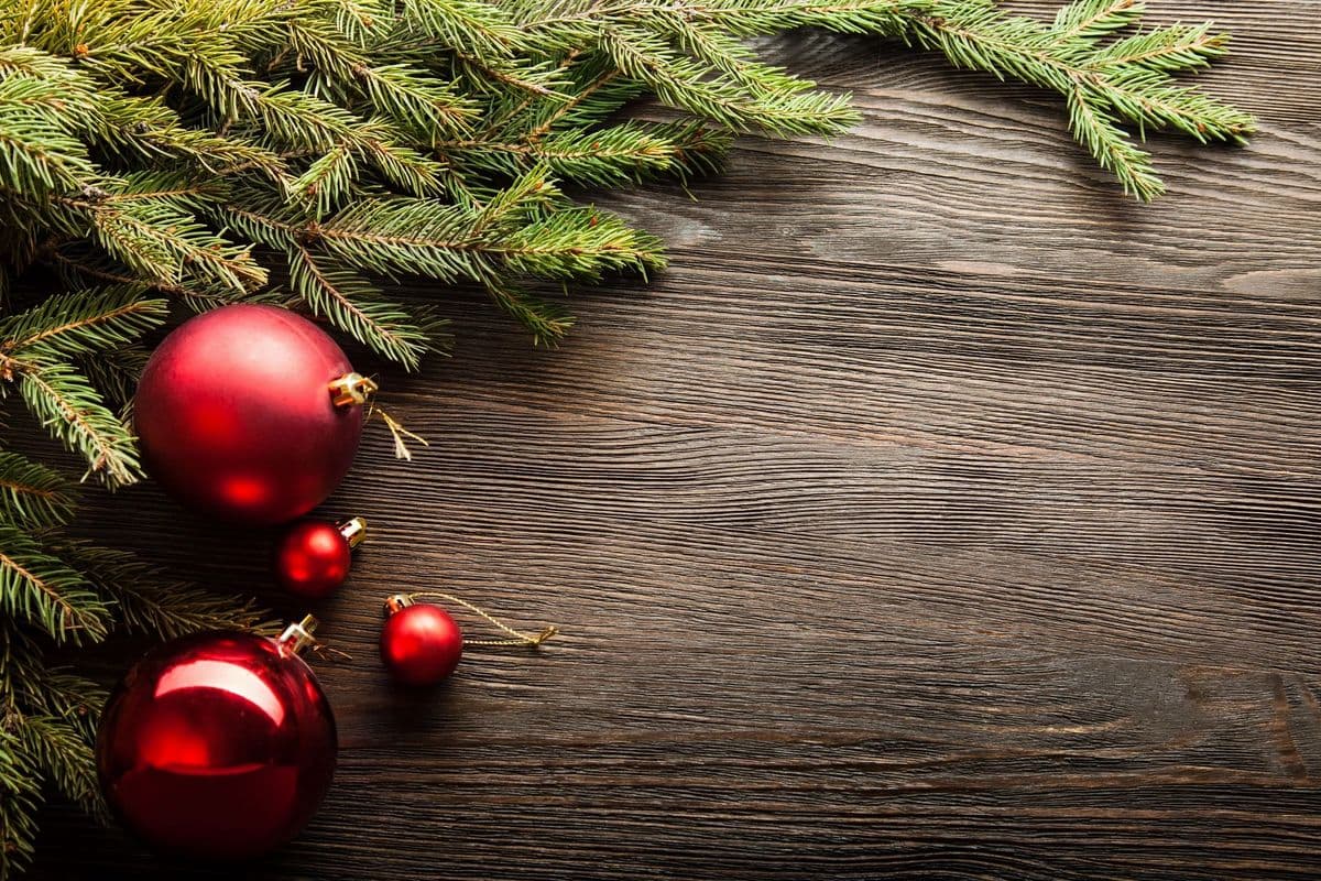 Dzen Tree Farm Inc