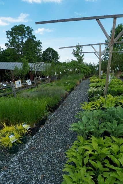 E.C. Browns' Nursery