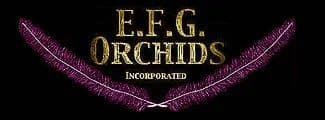 E.F.G. Orchids