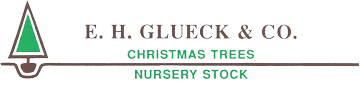 E.H. Glueck & Co.