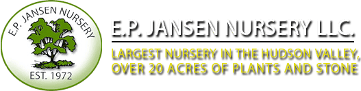 E.P. Jansen Nursery LLC