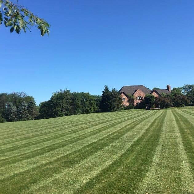 Earth and Turf - Zionsville