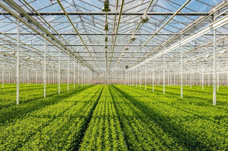 Earthvine grower