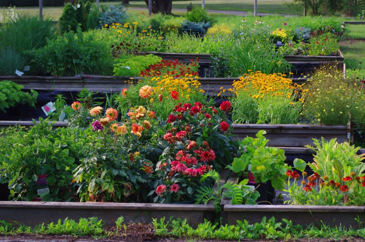 East Branch Organics