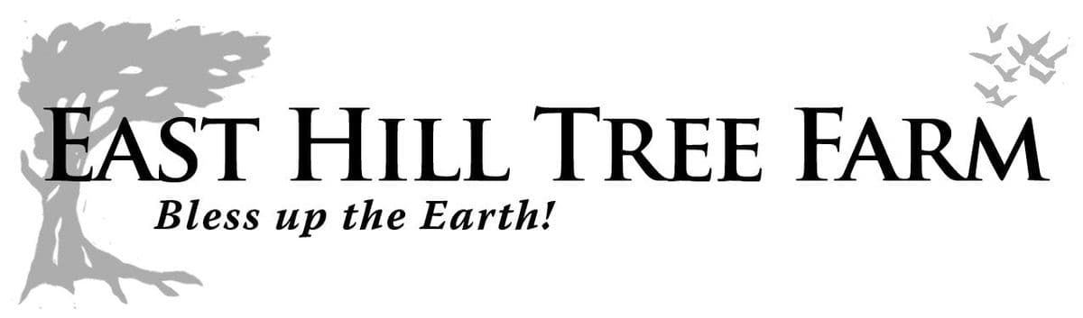 East Hill Tree Farm