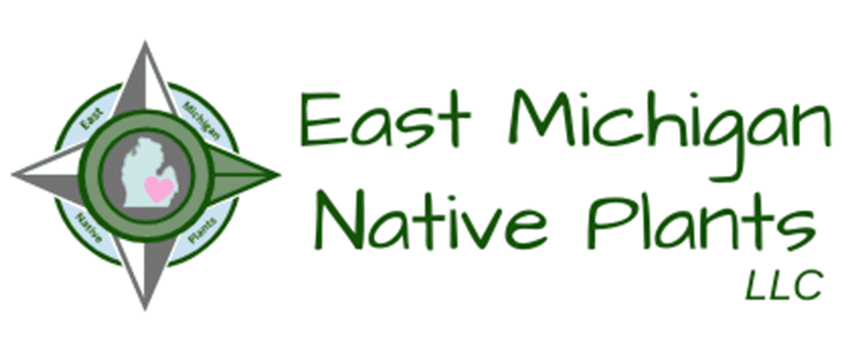 East Michigan Native Plants