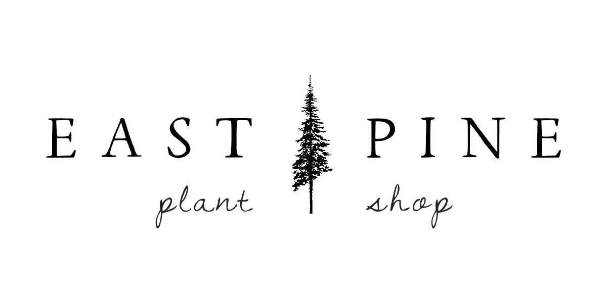 East Pine Plant Shop