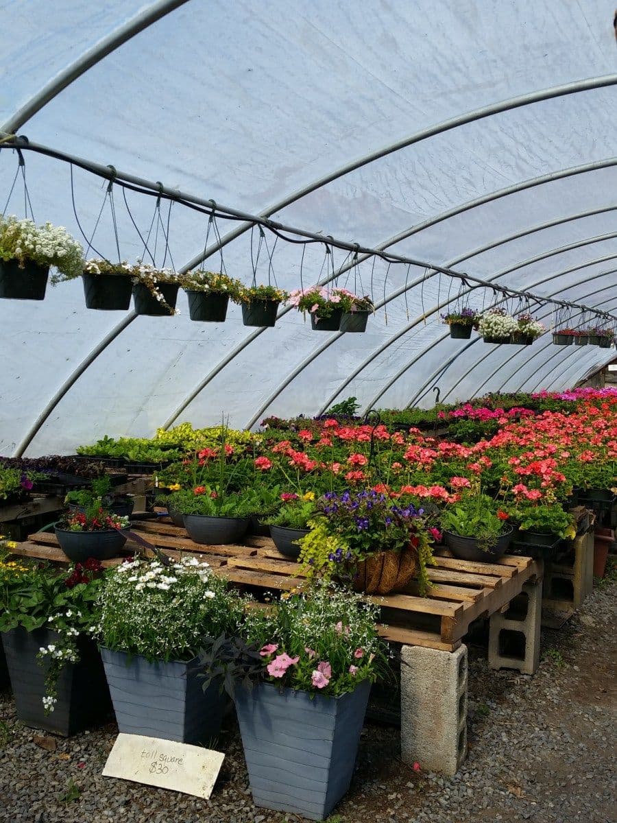 East View Farms