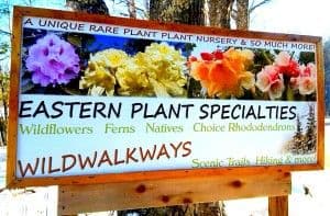 Eastern Plant Specialties