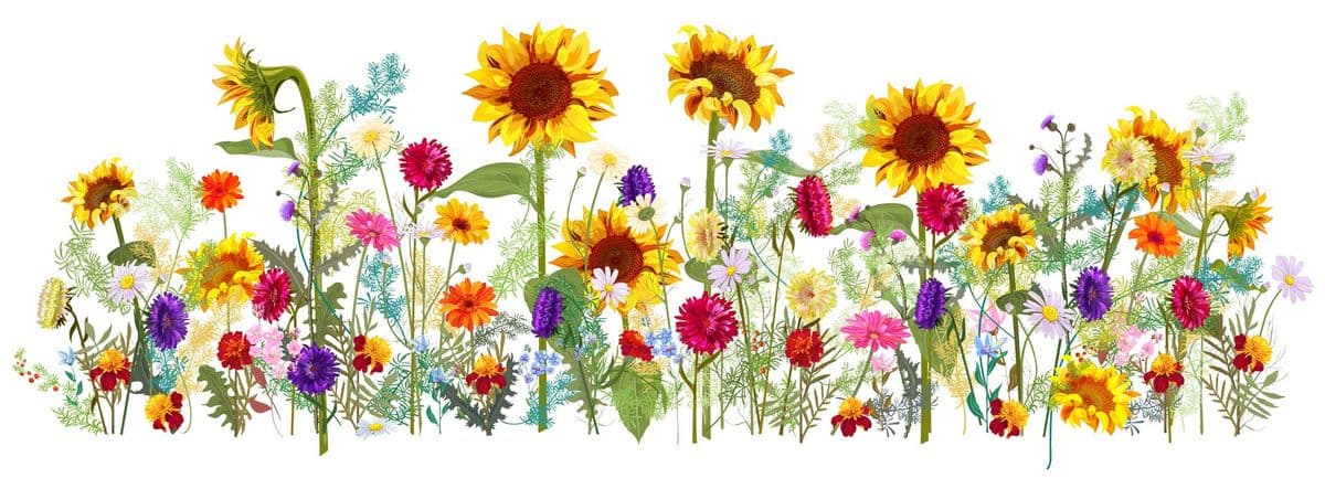 Eastern Shore Nurseries Inc