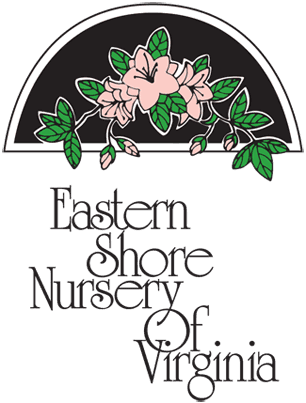 Eastern Shore of Virginia Nursery
