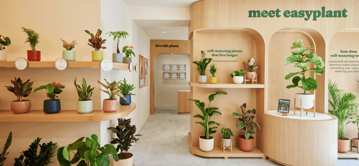 easyplant Nolita pop-up