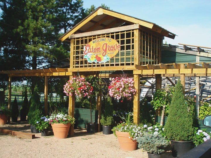 Eaton Grove Nursery Ltd